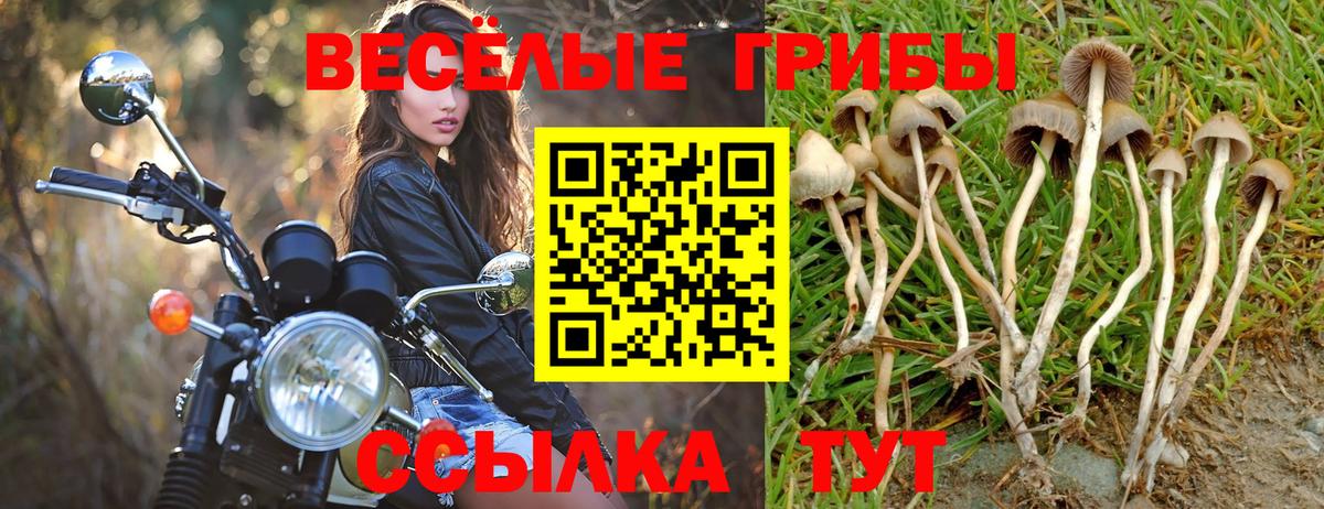 Псилоцибиновые грибы MAGIC MUSHROOMS  Вход с VPN  Назарово 