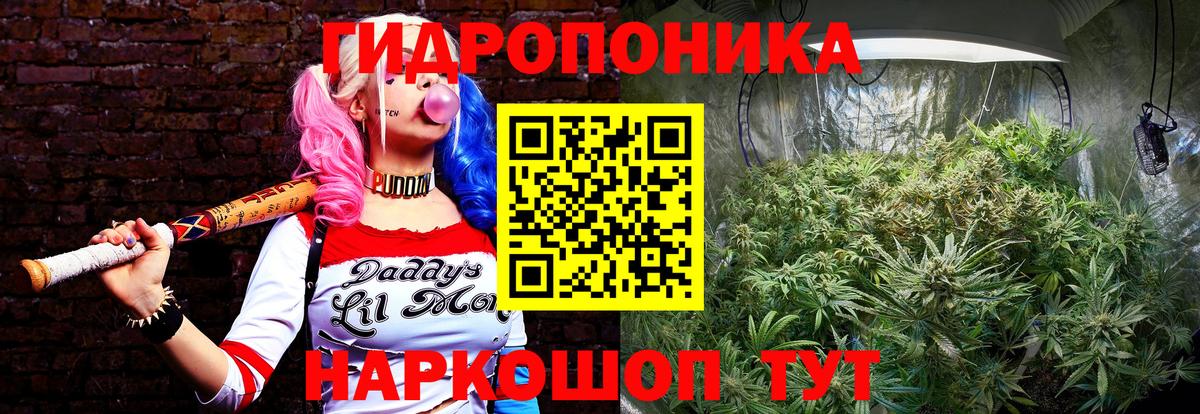 Шишки марихуана гибрид  МАРИХУАНА план  Шишки марихуана Ganja  Вход с VPN  Назарово  Бошки марихуана OG Kush 